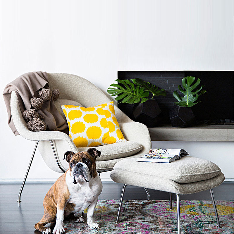 Classic Womb Chair & Ottoman, In Premium Velvet or Linen, Sky BlueDescription



The mid century style armchair with ottoman, created by Eero Saarinen for Knoll in 1948, has become an iconic piece of modernist design. The velvet ar